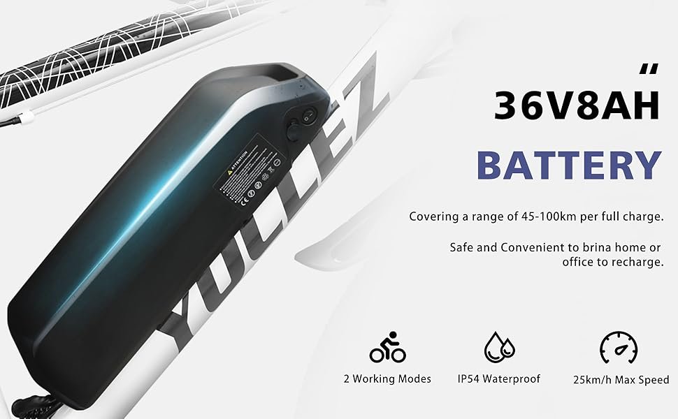 Electric Bike