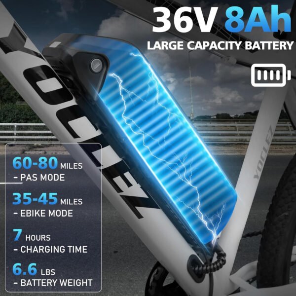 Azraa Electric Bike for Adults_26" Electric Bicycle_E-bikes Built-in 36V 8Ah/13Ah Removable Li-Ion Battery_2601W - Image 18